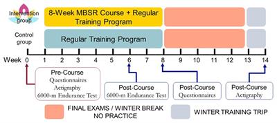 Mindfulness-Based Stress Reduction Benefits Psychological Well-Being, Sleep Quality, and Athletic Performance in Female Collegiate Rowers